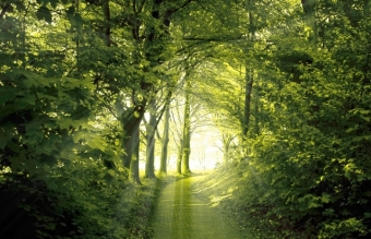 Vida en felicidad personalidad