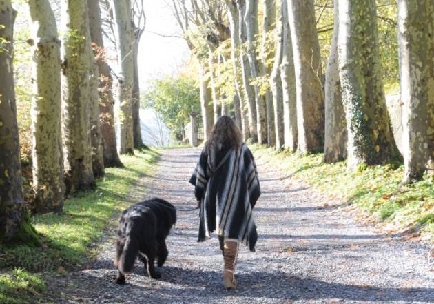 ataques de ansiedad crónico