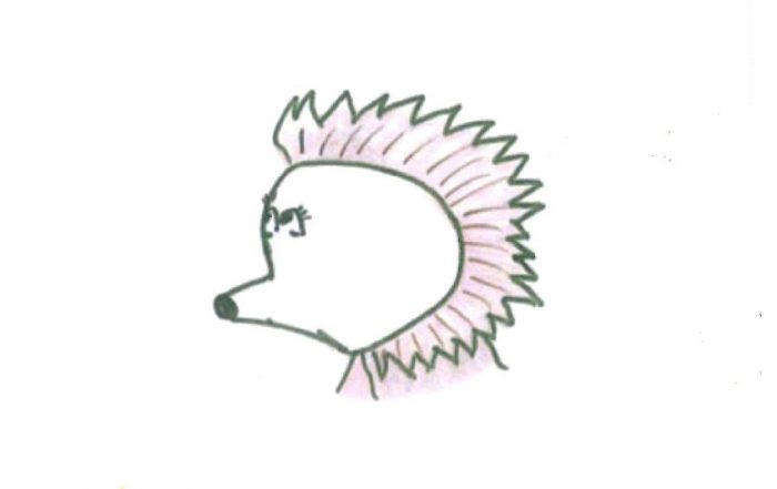 Cuento Tino, el erizo