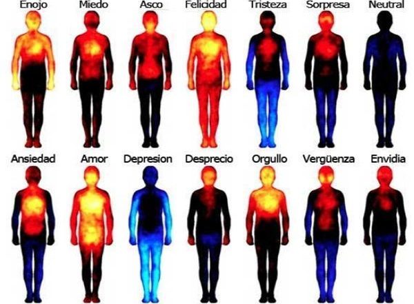 palabras a las emociones