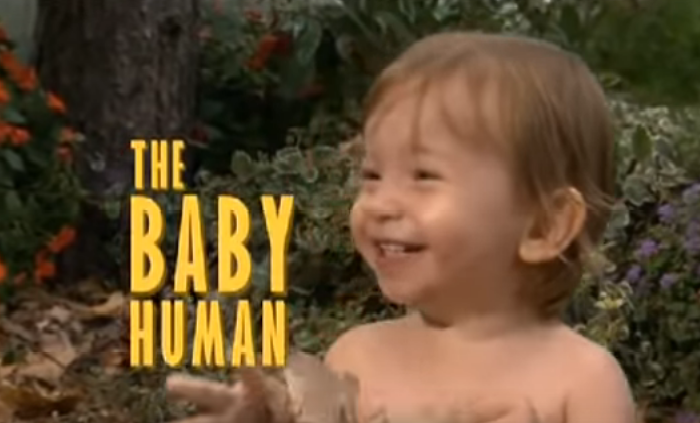 Desarrollo emocional infantil.