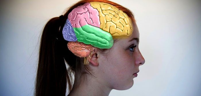 cerebro, adolescentes, psicología