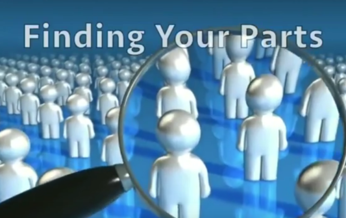 Sistema de la familia interna