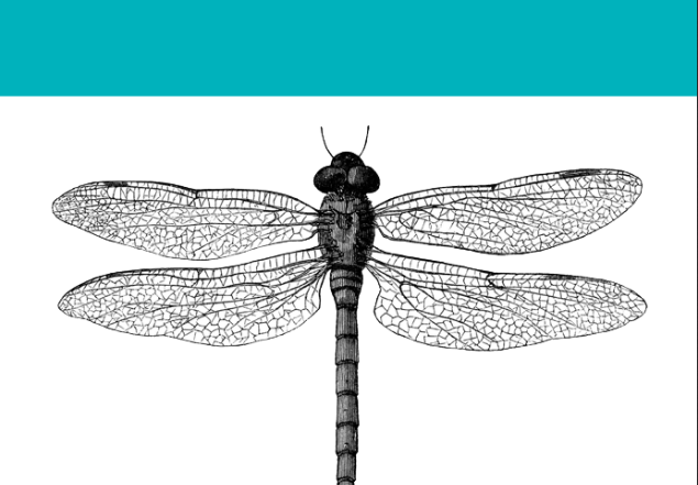 trastorno espectro autista, psicología.