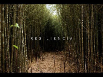 resiliencia, psicología